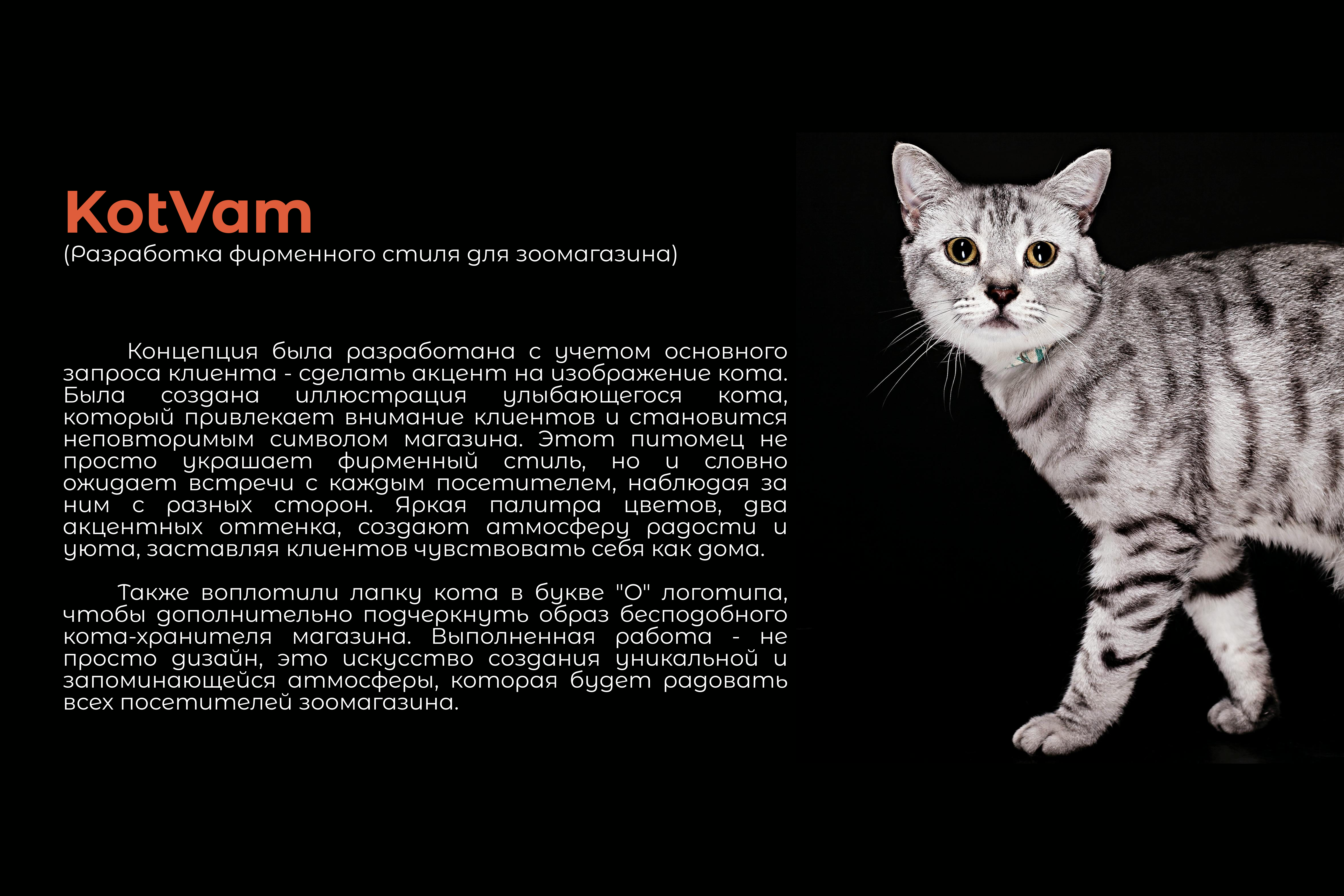KotVam — Изображение №2 — Брендинг, Графика на Dprofile