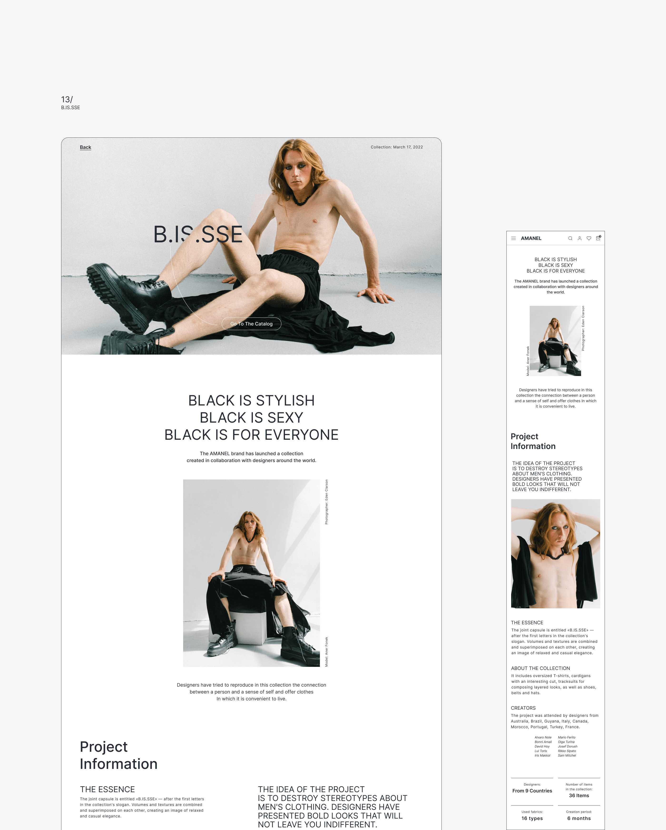 AMANEL | UI | STORE — Изображение №14 — Интерфейсы на Dprofile