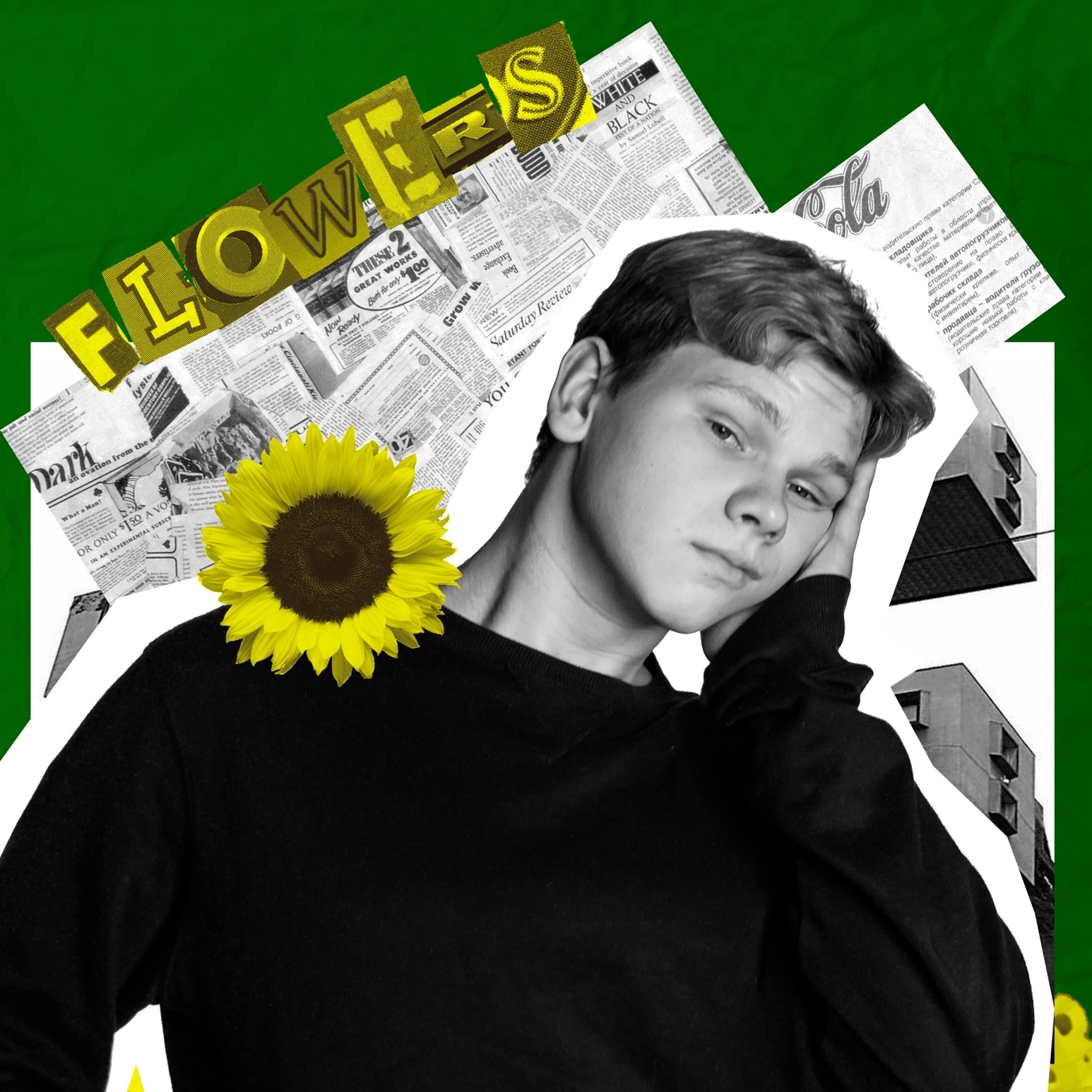 Аватар пользователя Даниил Шумихин