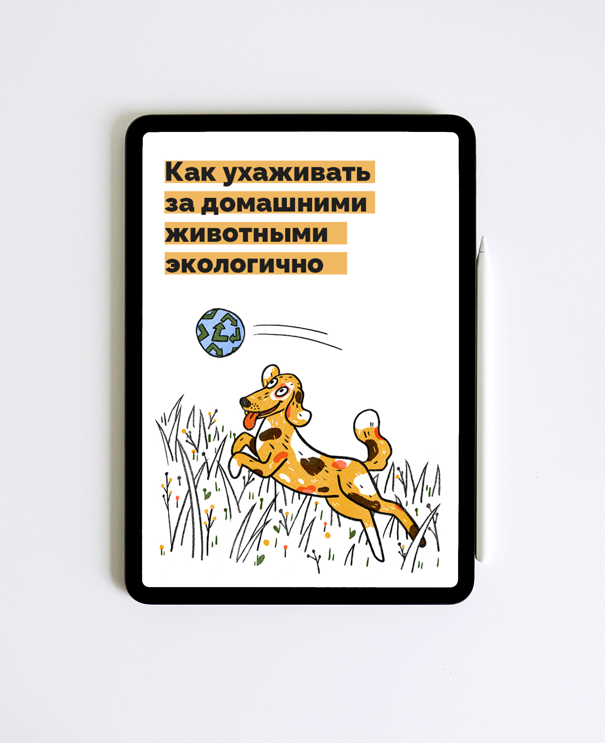 Иллюстрации для гида об уходе за животными — Изображение №1 — Иллюстрация, Графика на Dprofile