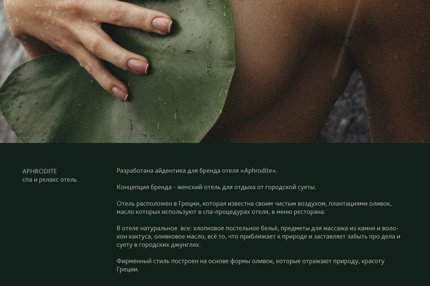 APHRODITE spa and relax hotel — Изображение №1 — Брендинг, Графика на Dprofile