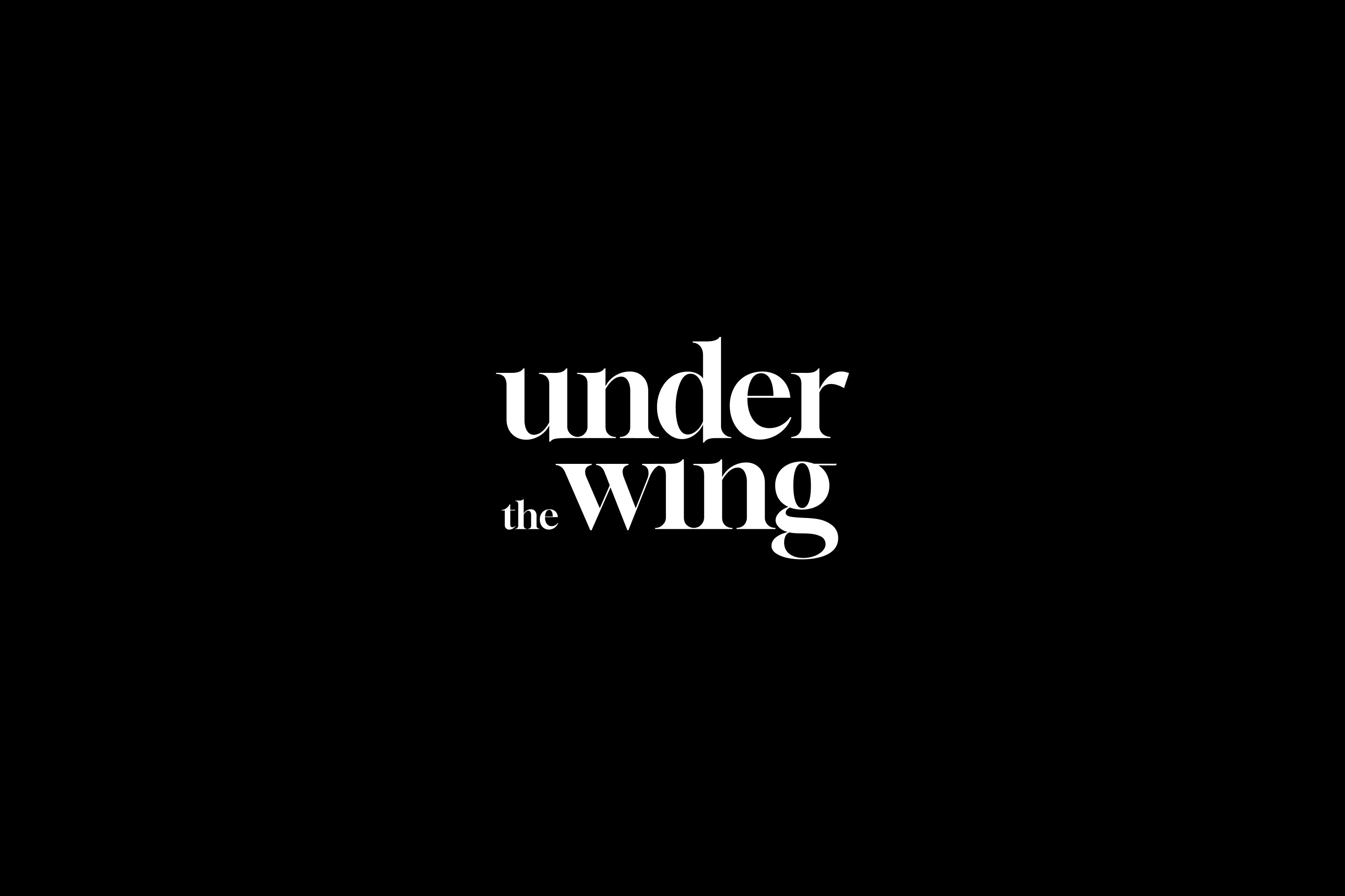 UNDER THE WING — Изображение №1 — Брендинг, Маркетинг на Dprofile