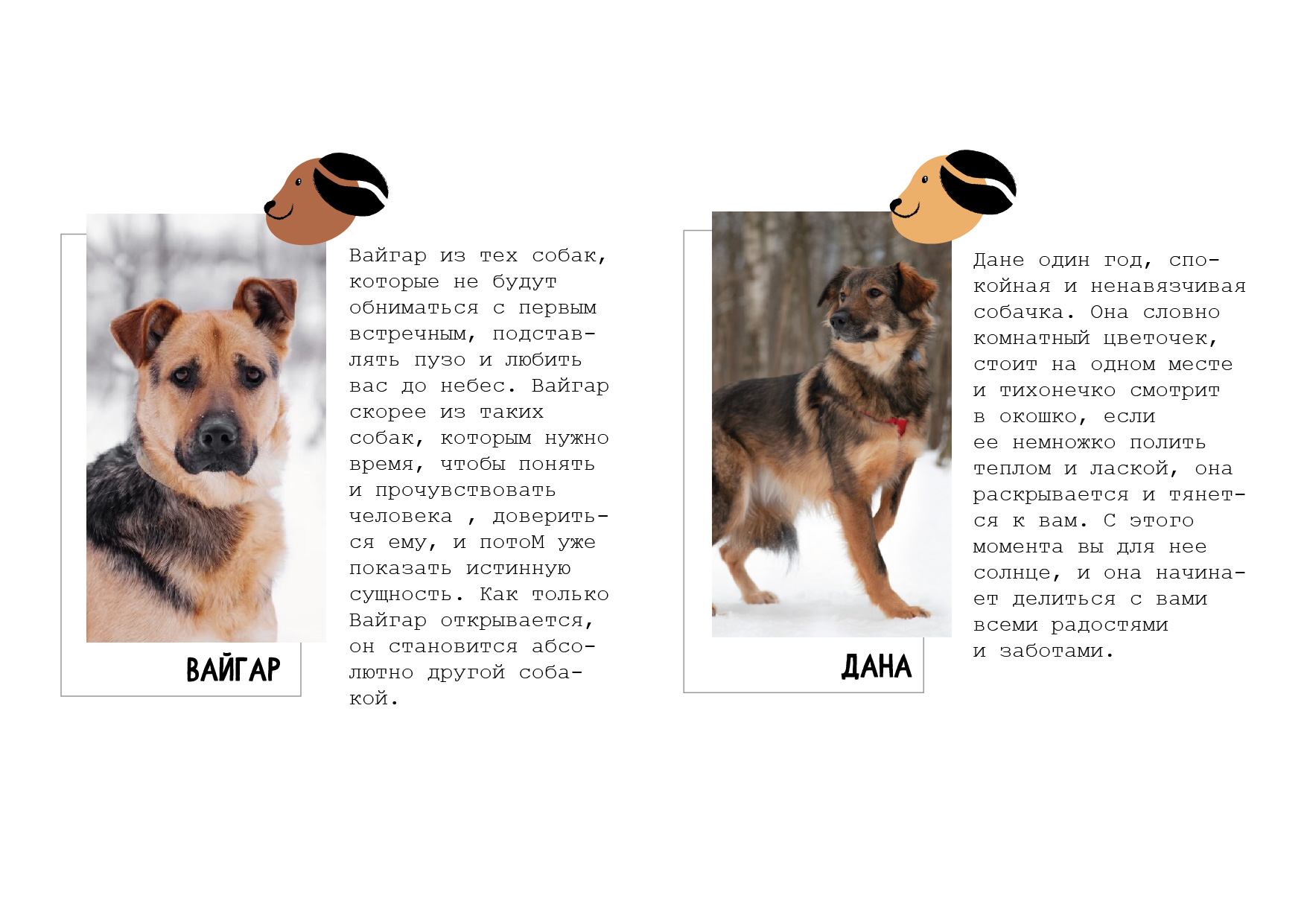 Дизайн айдентики кафе Гавстори. — Изображение №7 — Брендинг, Графика на Dprofile