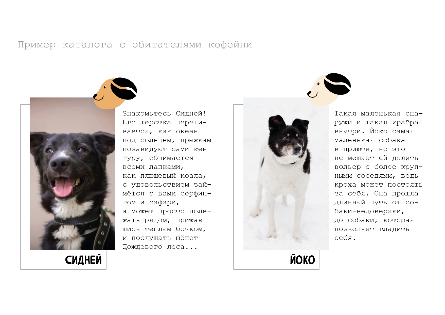 Дизайн айдентики кафе Гавстори. — Изображение №6 — Брендинг, Графика на Dprofile