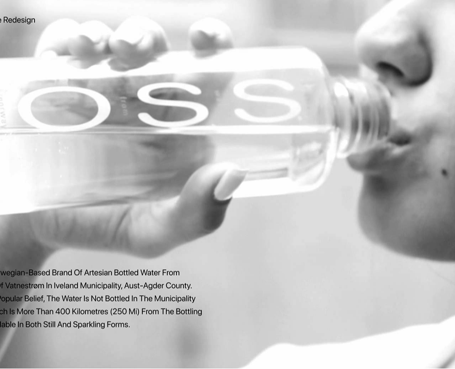 Редизайн сайта Voss — Интерфейсы на Dprofile