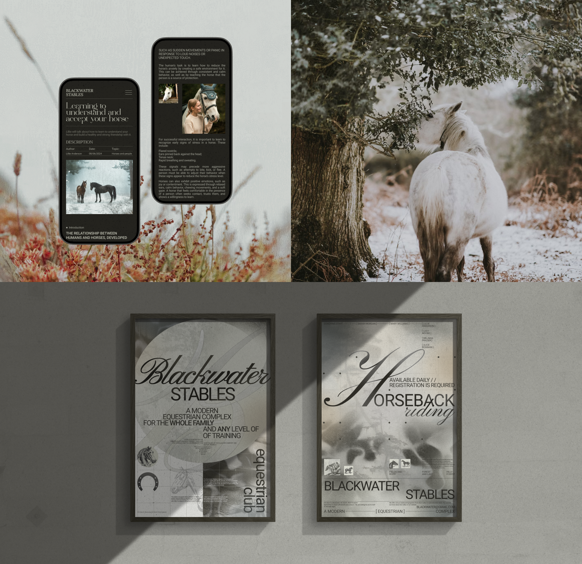 Blackwater Stables — Изображение №12 — Интерфейсы, Брендинг на Dprofile