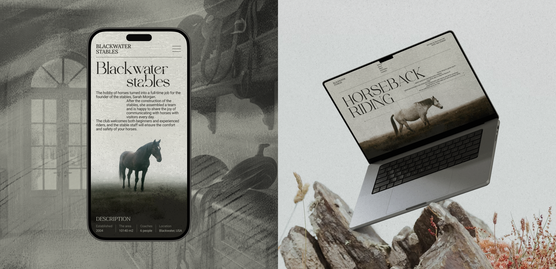 Blackwater Stables — Изображение №2 — Интерфейсы, Брендинг на Dprofile