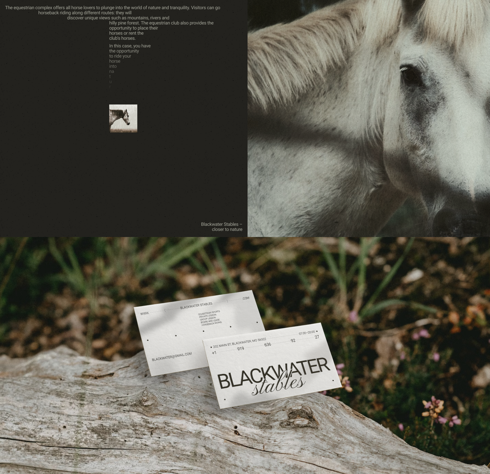 Blackwater Stables — Изображение №6 — Интерфейсы, Брендинг на Dprofile