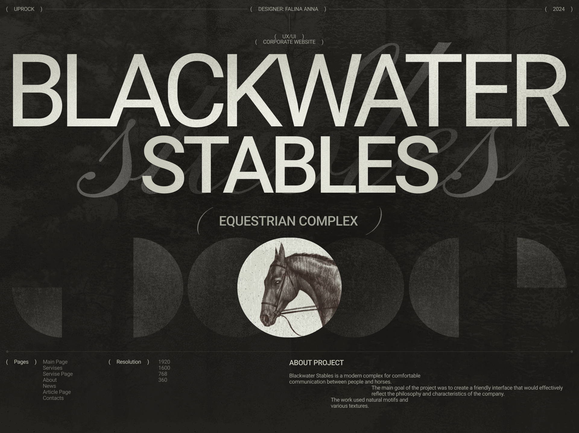 Blackwater Stables — Изображение №1 — Интерфейсы, Брендинг на Dprofile