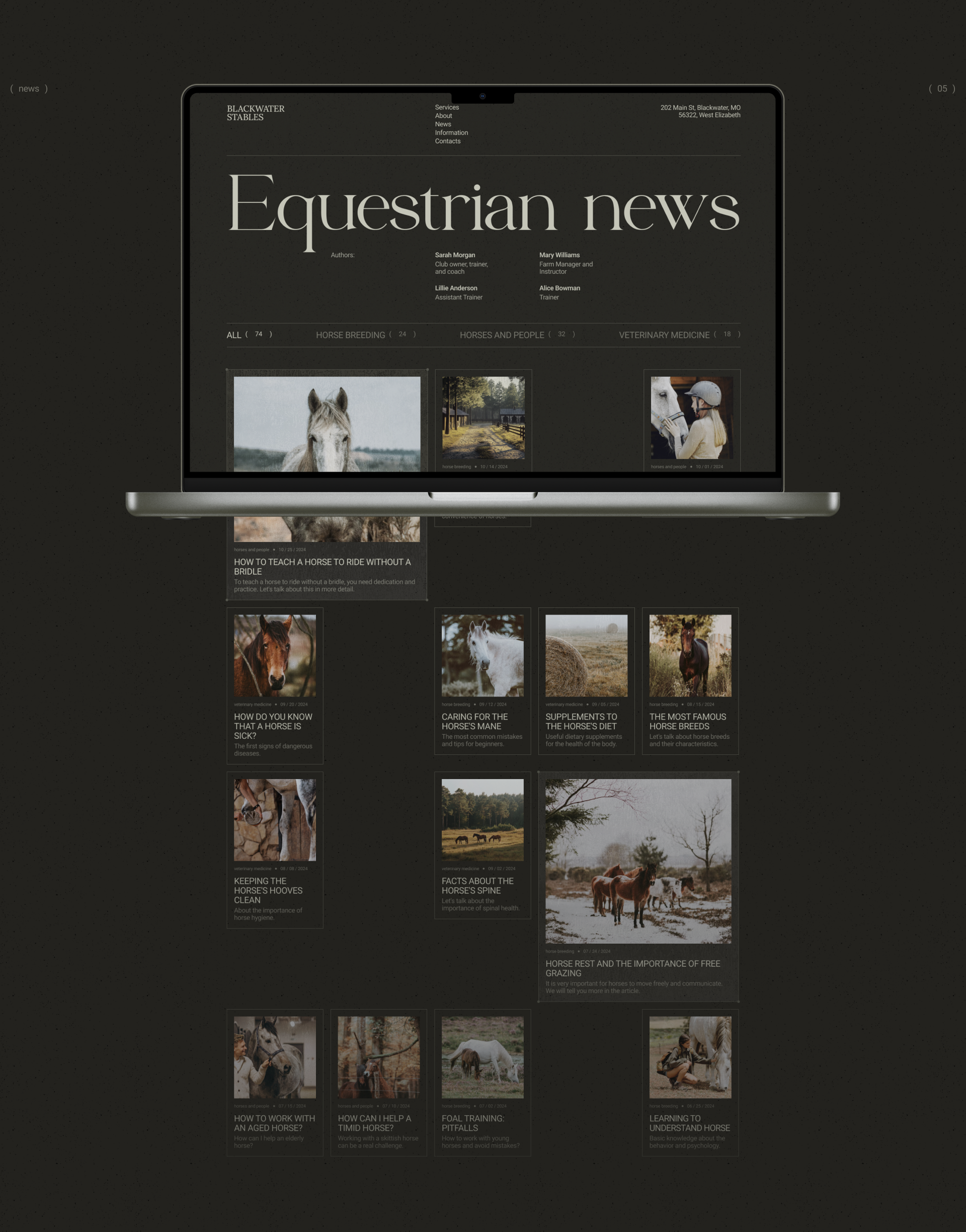 Blackwater Stables — Изображение №11 — Интерфейсы, Брендинг на Dprofile