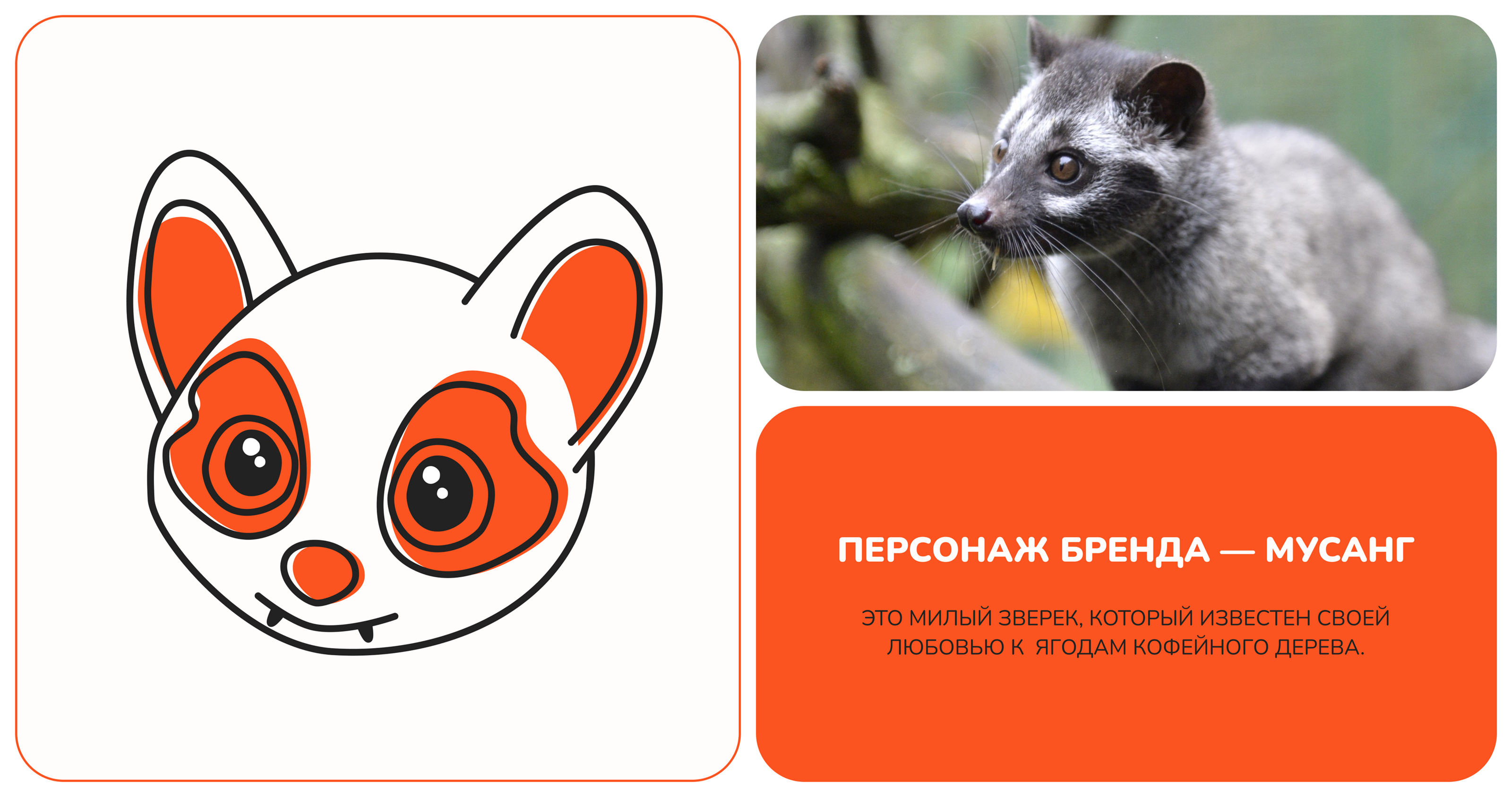 BRAND IDENTITY: LUSA CAFE — Изображение №4 — Брендинг на Dprofile