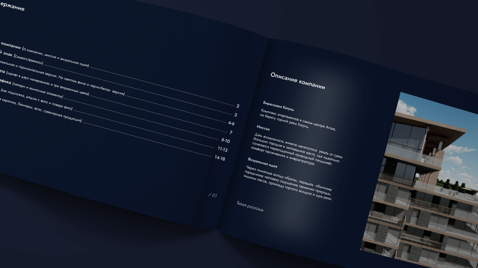 CORPORATE IDENTITY AND LOGO | BIRYUZOVAYA KATUN — Изображение №9 — Брендинг на Dprofile