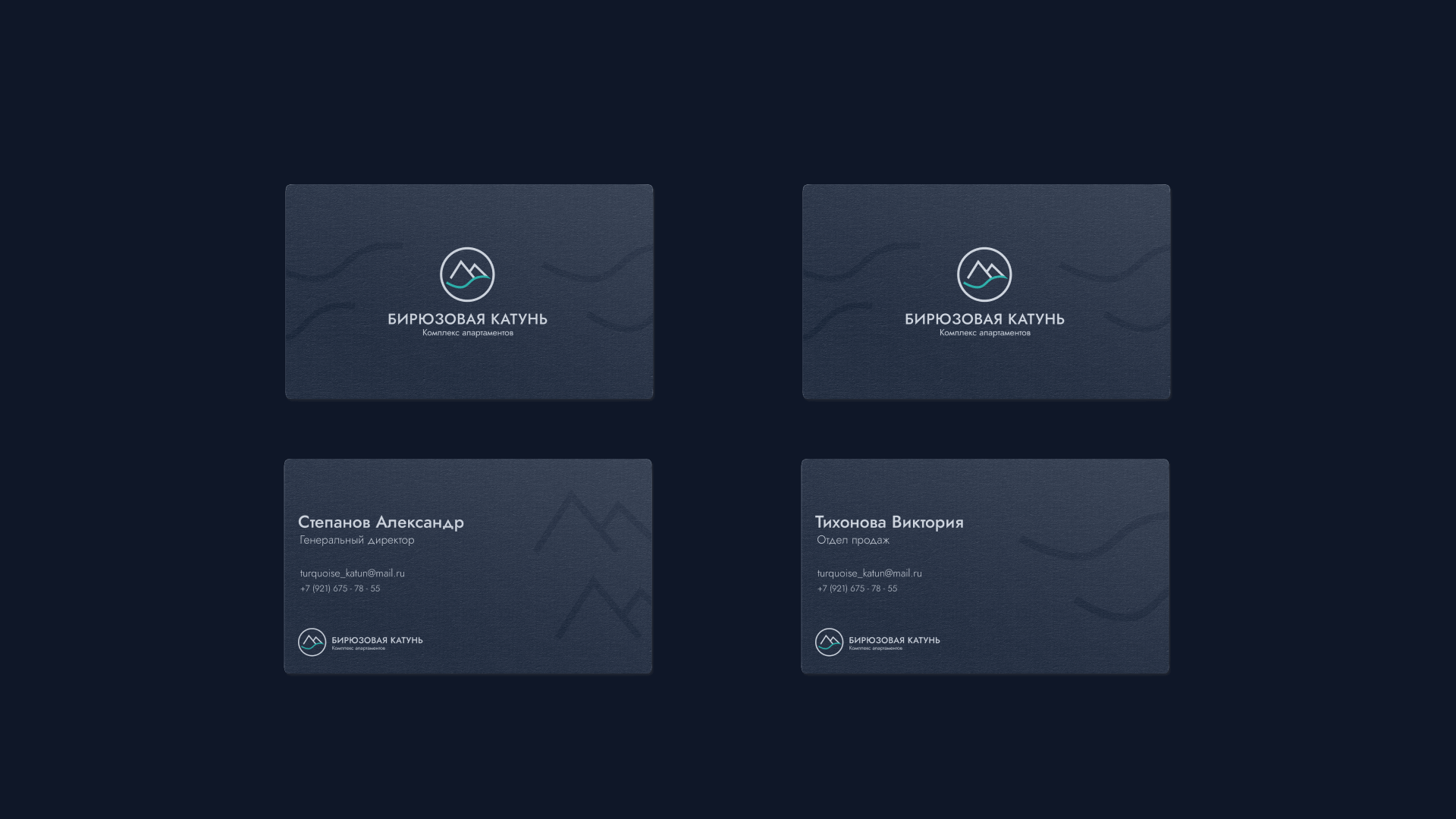 CORPORATE IDENTITY AND LOGO | BIRYUZOVAYA KATUN — Изображение №7 — Брендинг на Dprofile
