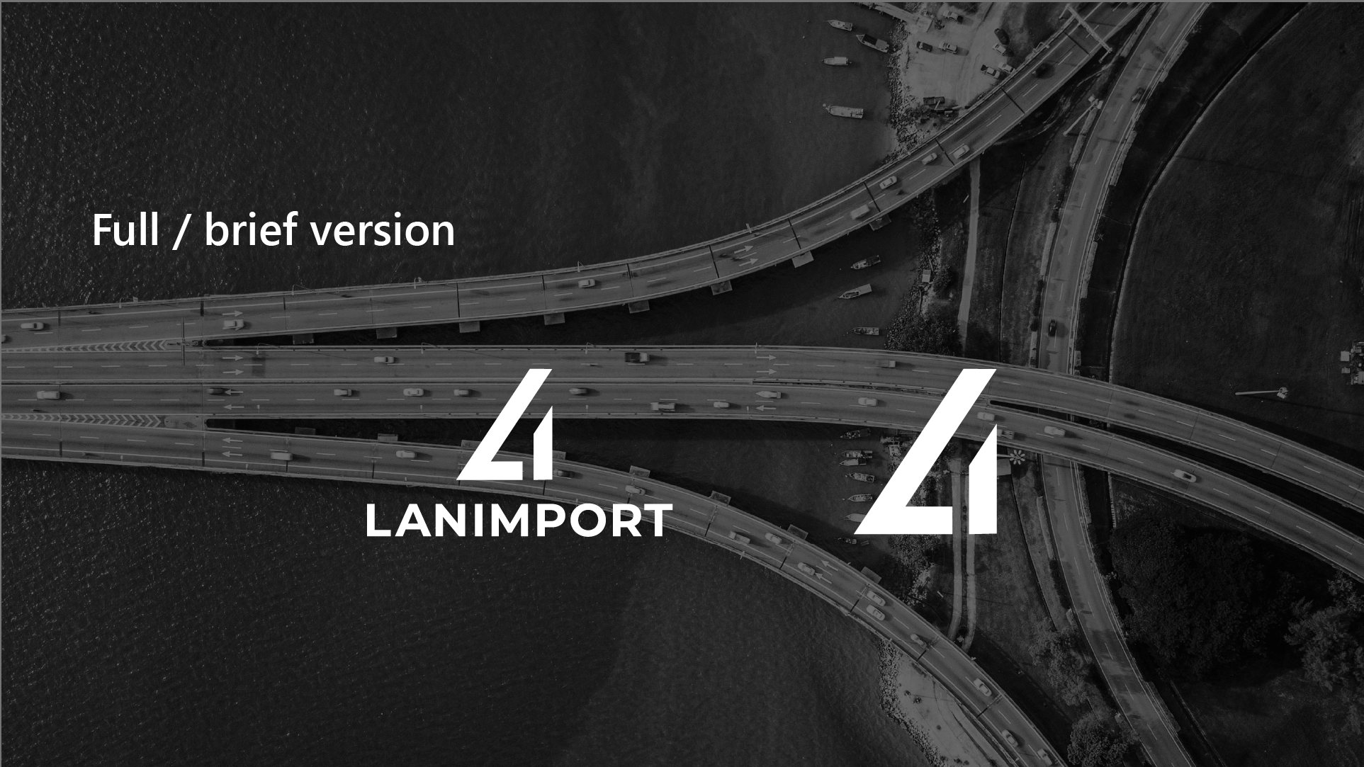 LANIMPORT | Logo & Brand Identity — Изображение №5 — Брендинг на Dprofile