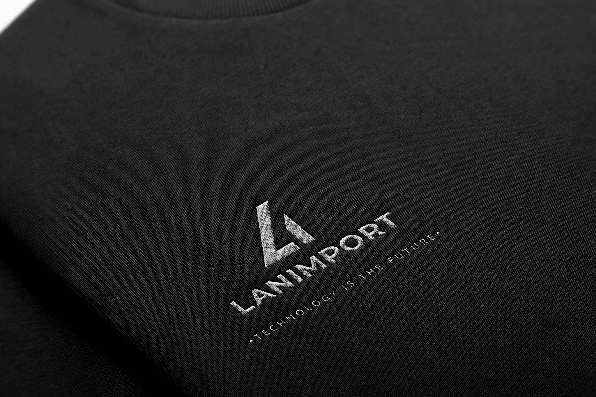 LANIMPORT | Logo & Brand Identity — Изображение №10 — Брендинг на Dprofile