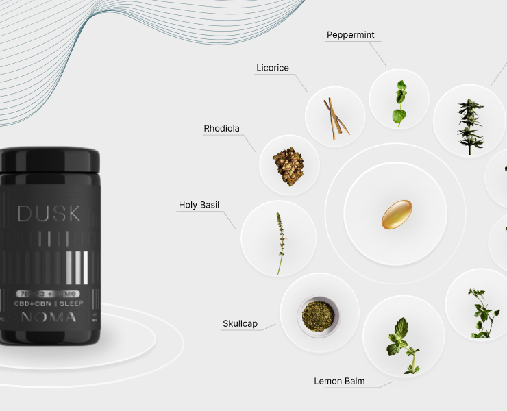 NOMA | Pitch deck design | Presentation design — Брендинг, Маркетинг на Dprofile