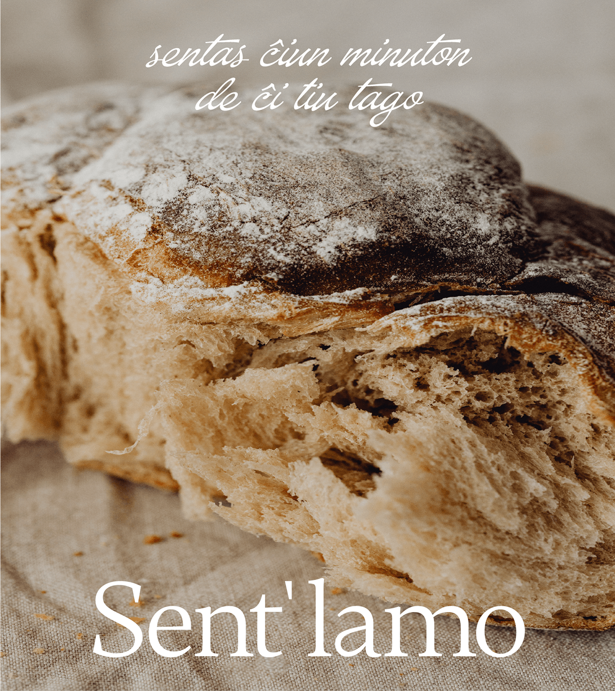 Sent'lamo | Фирменный стиль — Изображение №3 — Брендинг на Dprofile