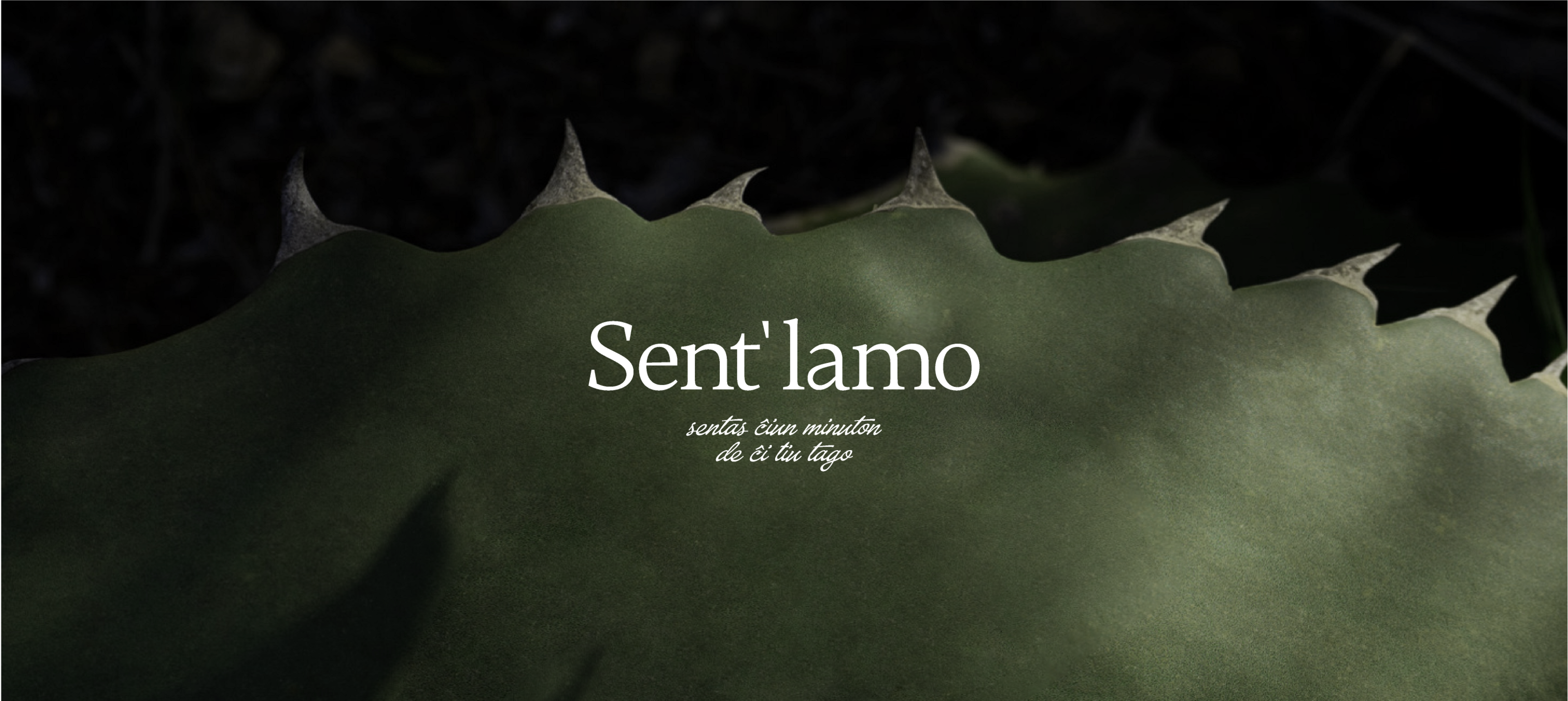 Sent'lamo | Фирменный стиль — Изображение №1 — Брендинг на Dprofile