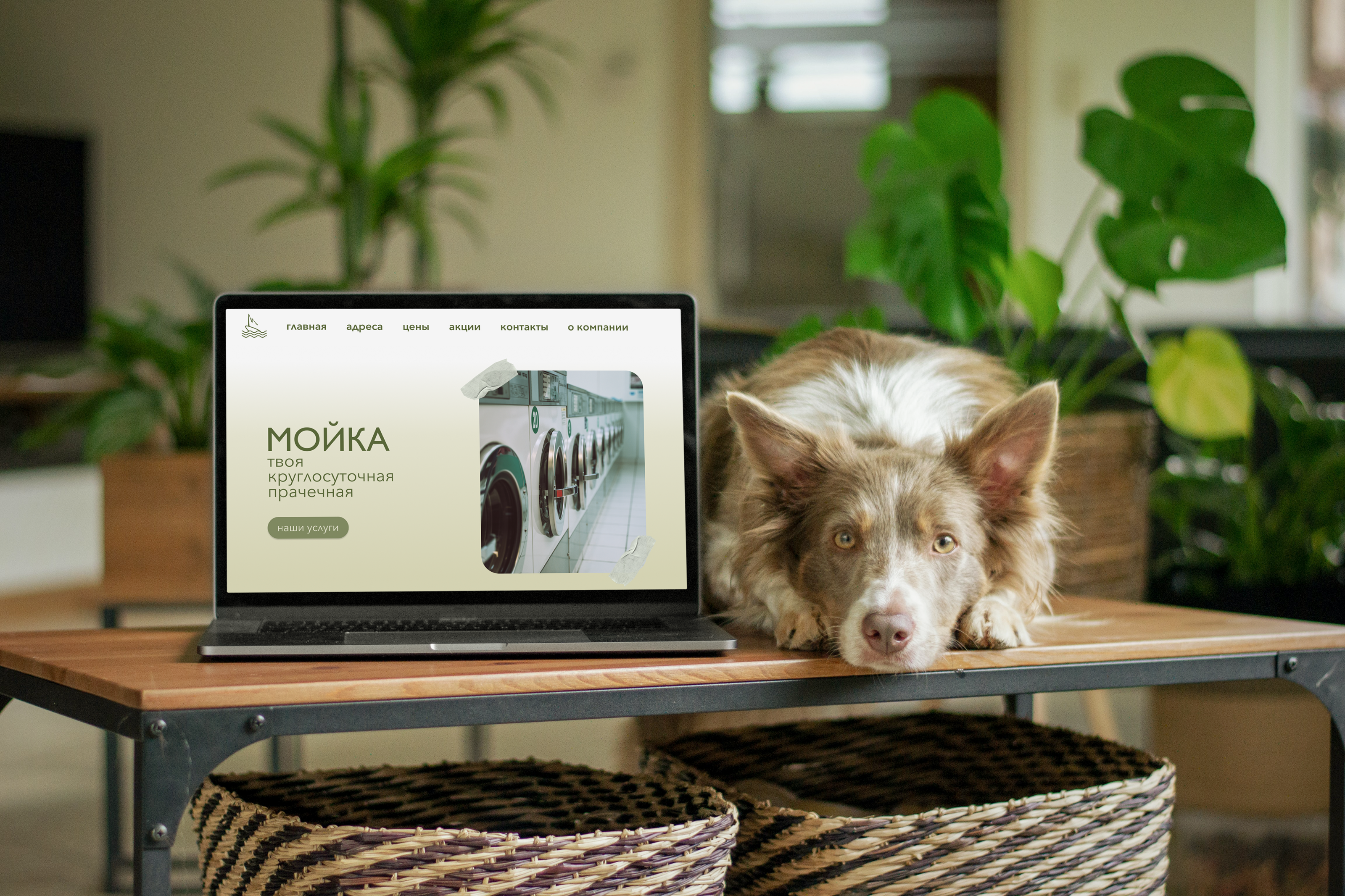 Мойка | Логотип для прачечной — Изображение №7 — Брендинг, Графика на Dprofile