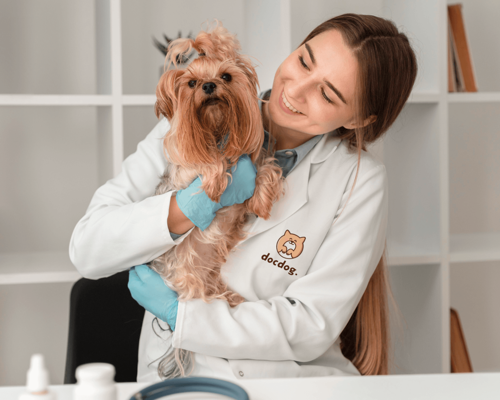 docdog. | Ветеринарная клиника | Логотип — Изображение №9 — Брендинг, Графика на Dprofile