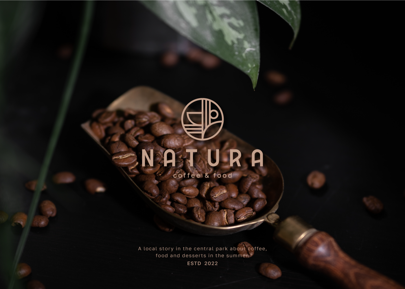 Логотип | Фирменный стиль Кофейня NATURA — Изображение №3 — Брендинг на Dprofile