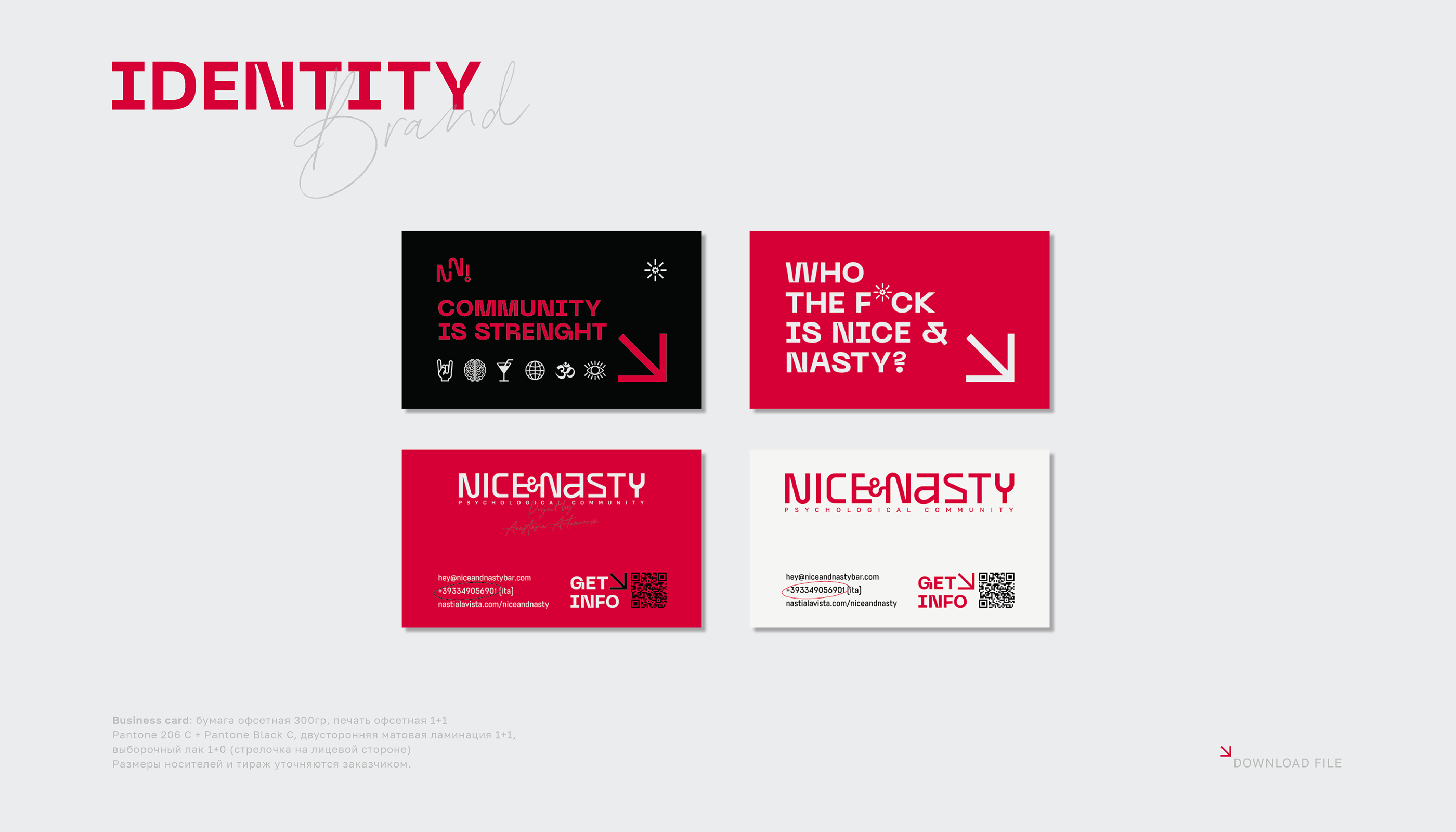 Brand Identity | Guideline Nice&Nasty — Изображение №10 — Брендинг, Графика на Dprofile