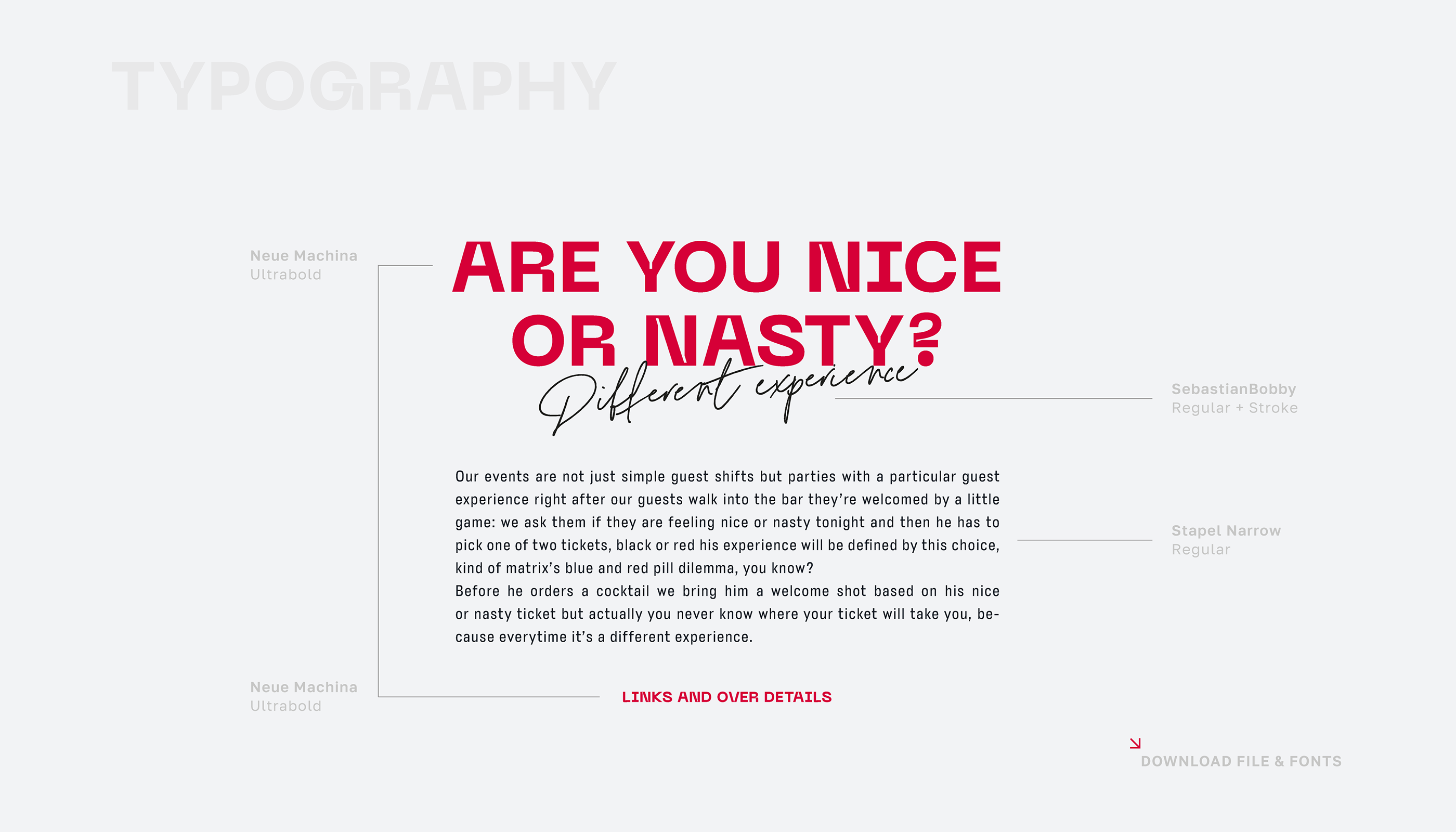 Brand Identity | Guideline Nice&Nasty — Изображение №7 — Брендинг, Графика на Dprofile