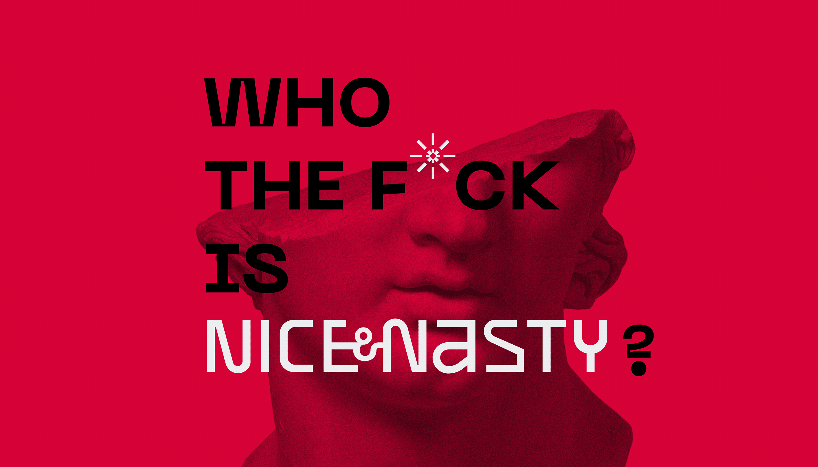 Brand Identity | Guideline Nice&Nasty — Изображение №6 — Брендинг, Графика на Dprofile