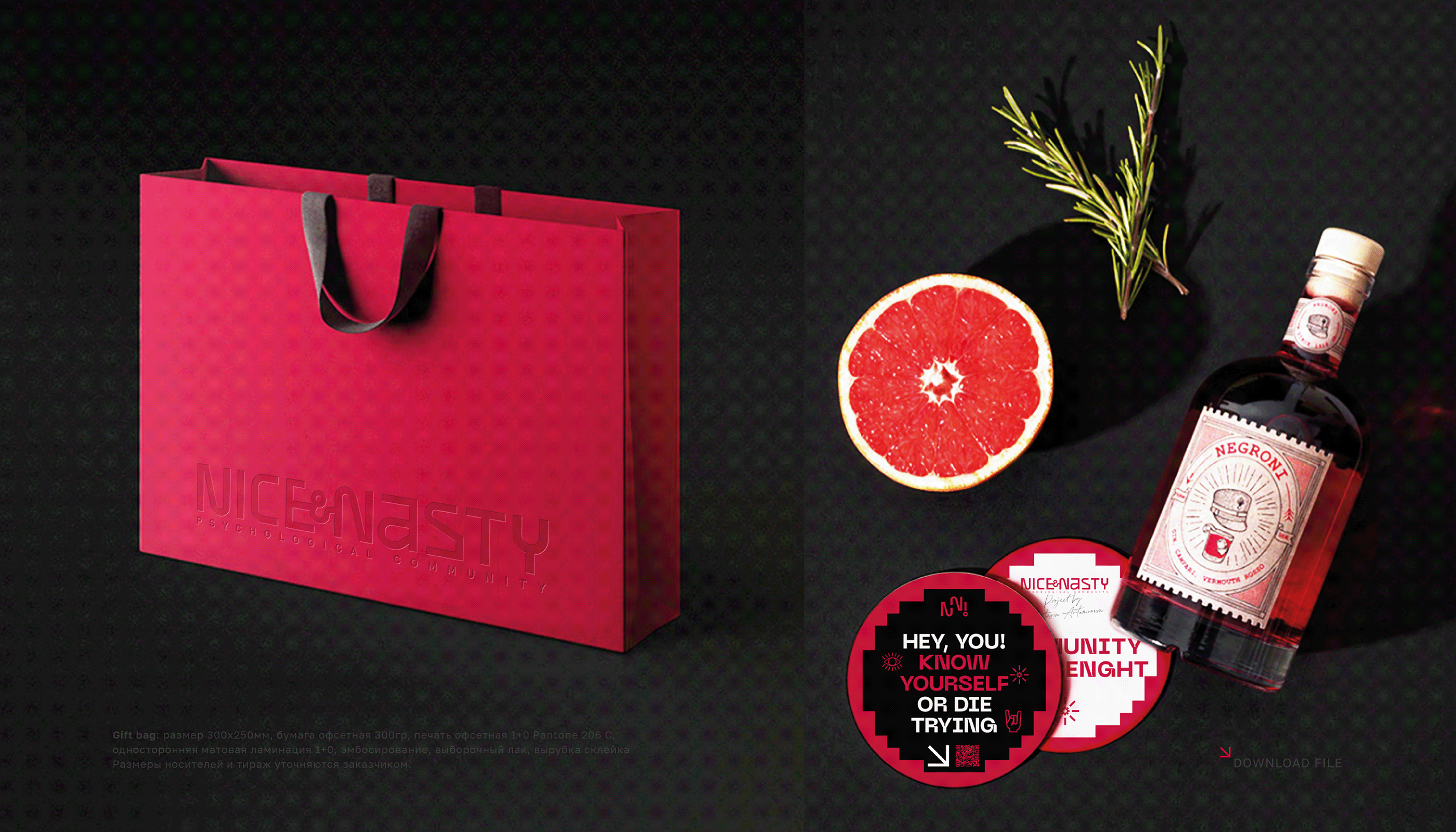 Brand Identity | Guideline Nice&Nasty — Изображение №20 — Брендинг, Графика на Dprofile