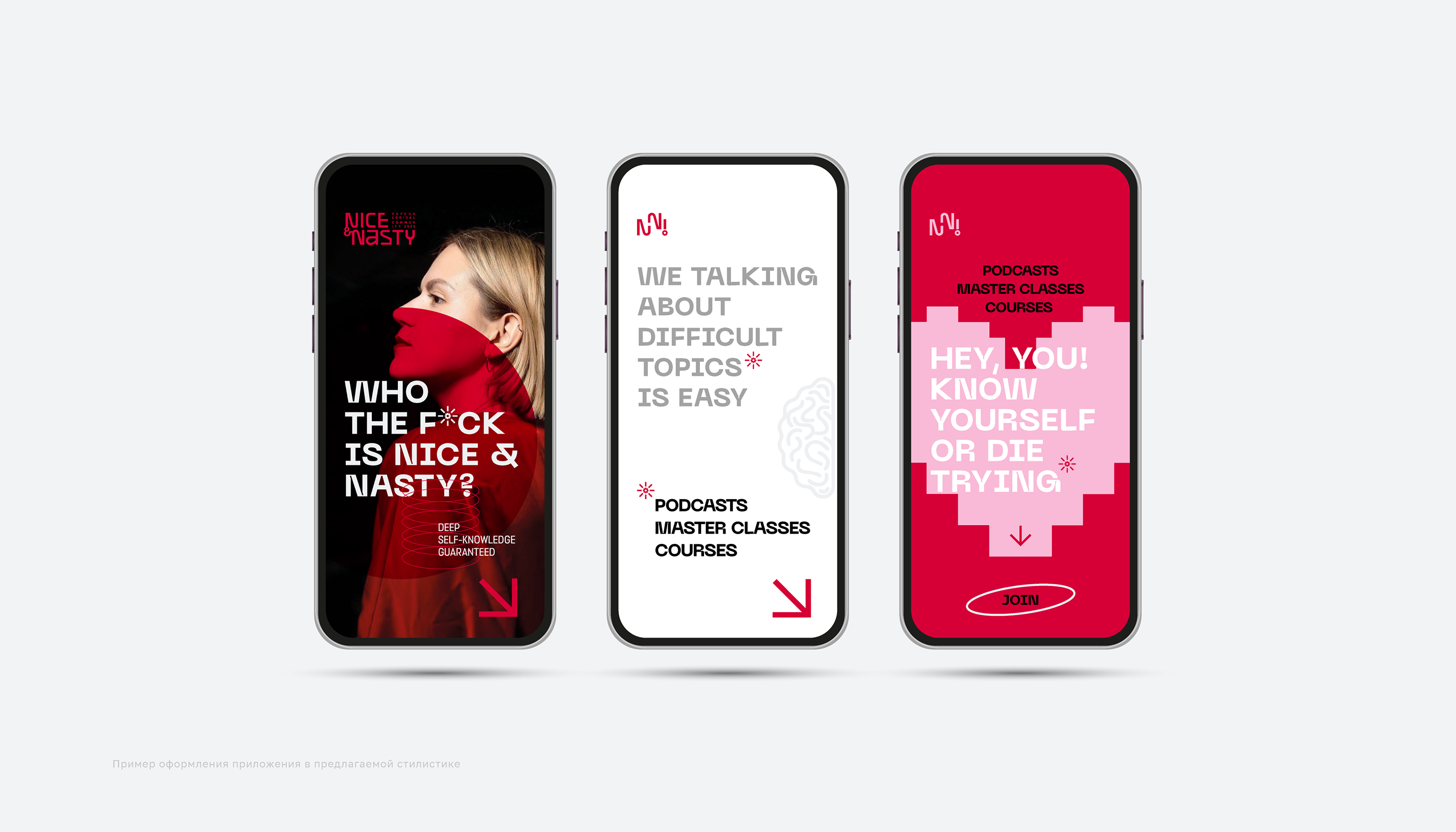 Brand Identity | Guideline Nice&Nasty — Изображение №13 — Брендинг, Графика на Dprofile