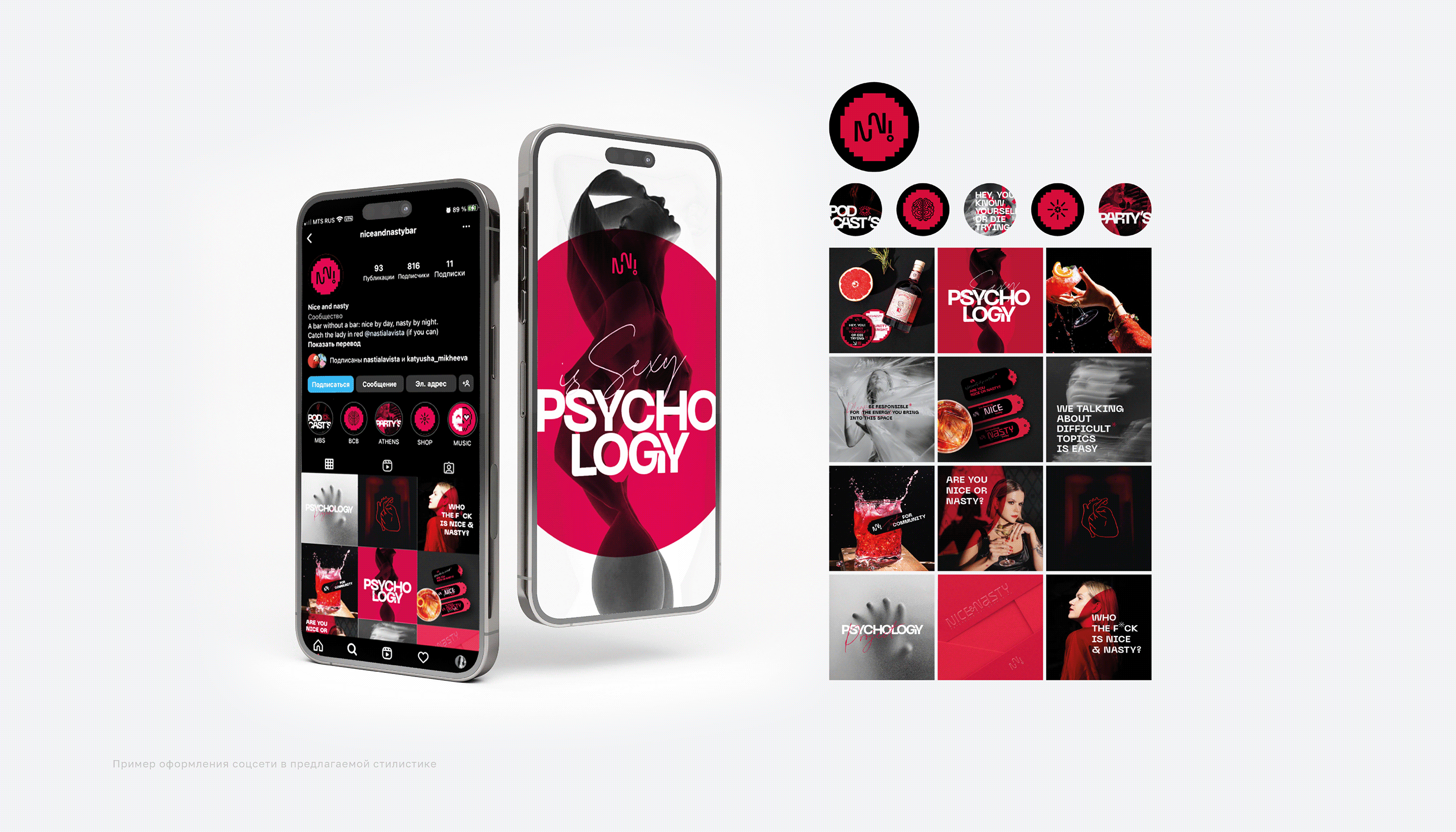 Brand Identity | Guideline Nice&Nasty — Изображение №14 — Брендинг, Графика на Dprofile