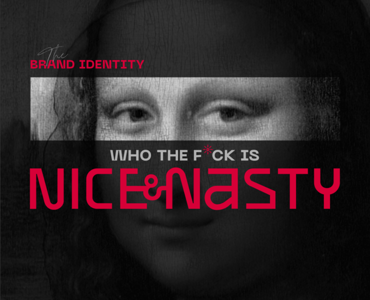 Brand Identity | Guideline Nice&Nasty на Dprofile