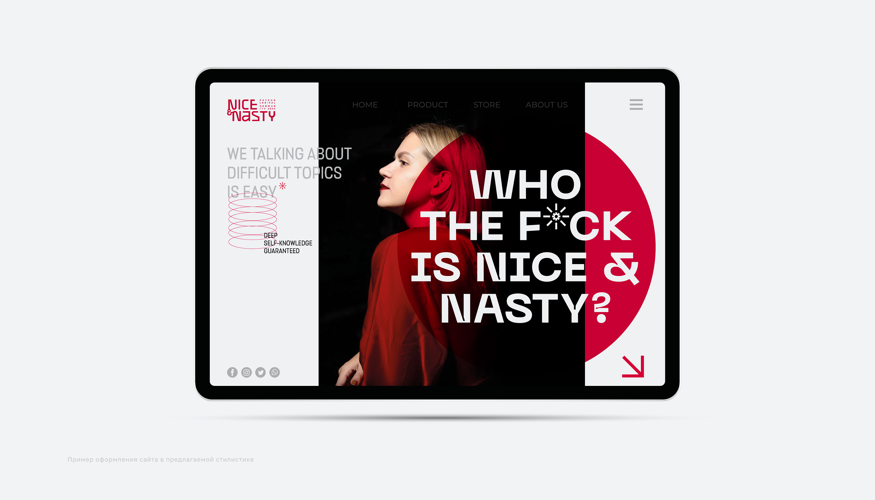 Brand Identity | Guideline Nice&Nasty — Изображение №12 — Брендинг, Графика на Dprofile