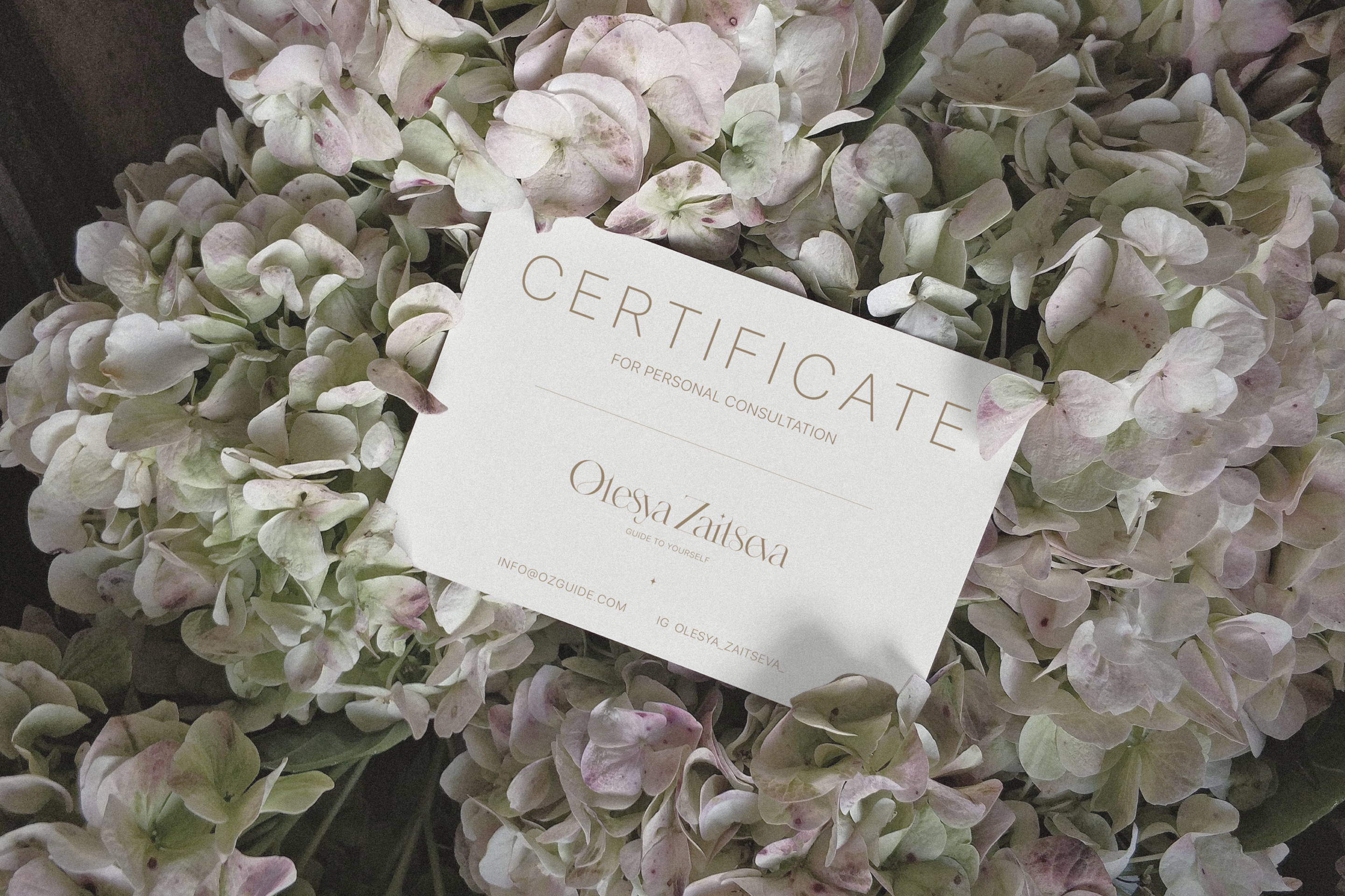 LOGO & VISUAL FOR PERSONAL BRAND OLESYA ZAYTSEVA — Изображение №11 — Брендинг, Графика на Dprofile