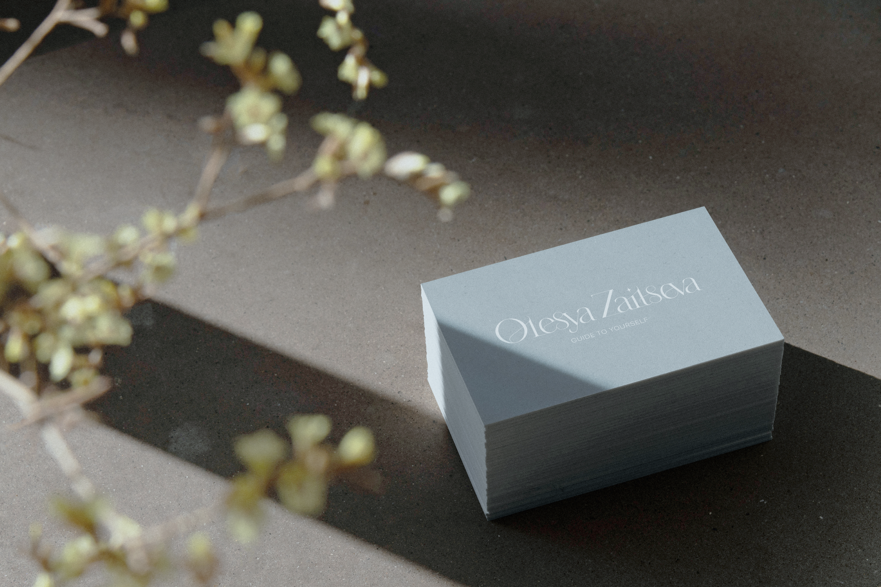 LOGO & VISUAL FOR PERSONAL BRAND OLESYA ZAYTSEVA — Изображение №6 — Брендинг, Графика на Dprofile