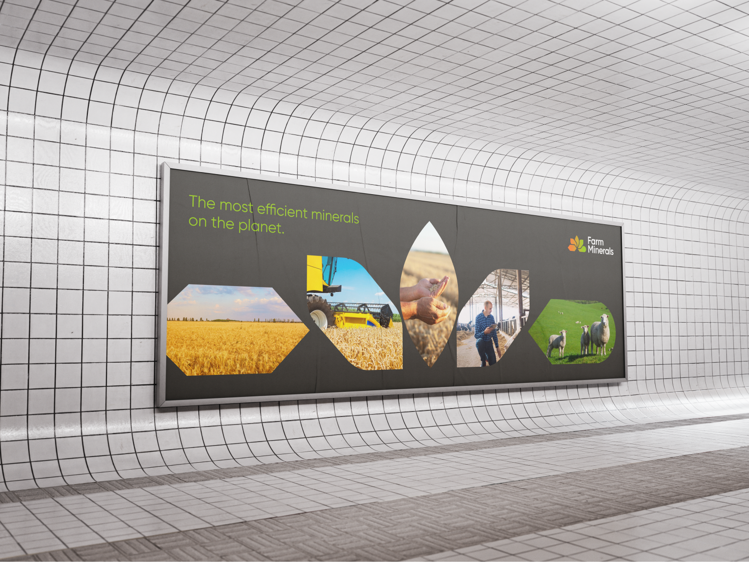 Farm minerals — Изображение №8 — Брендинг на Dprofile