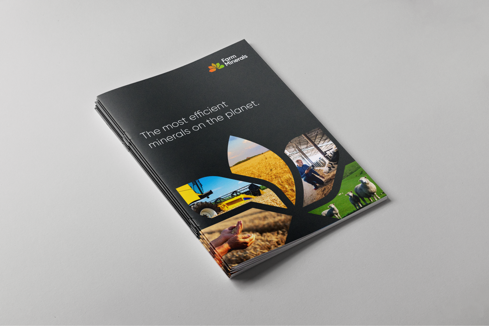 Farm minerals — Изображение №7 — Брендинг на Dprofile