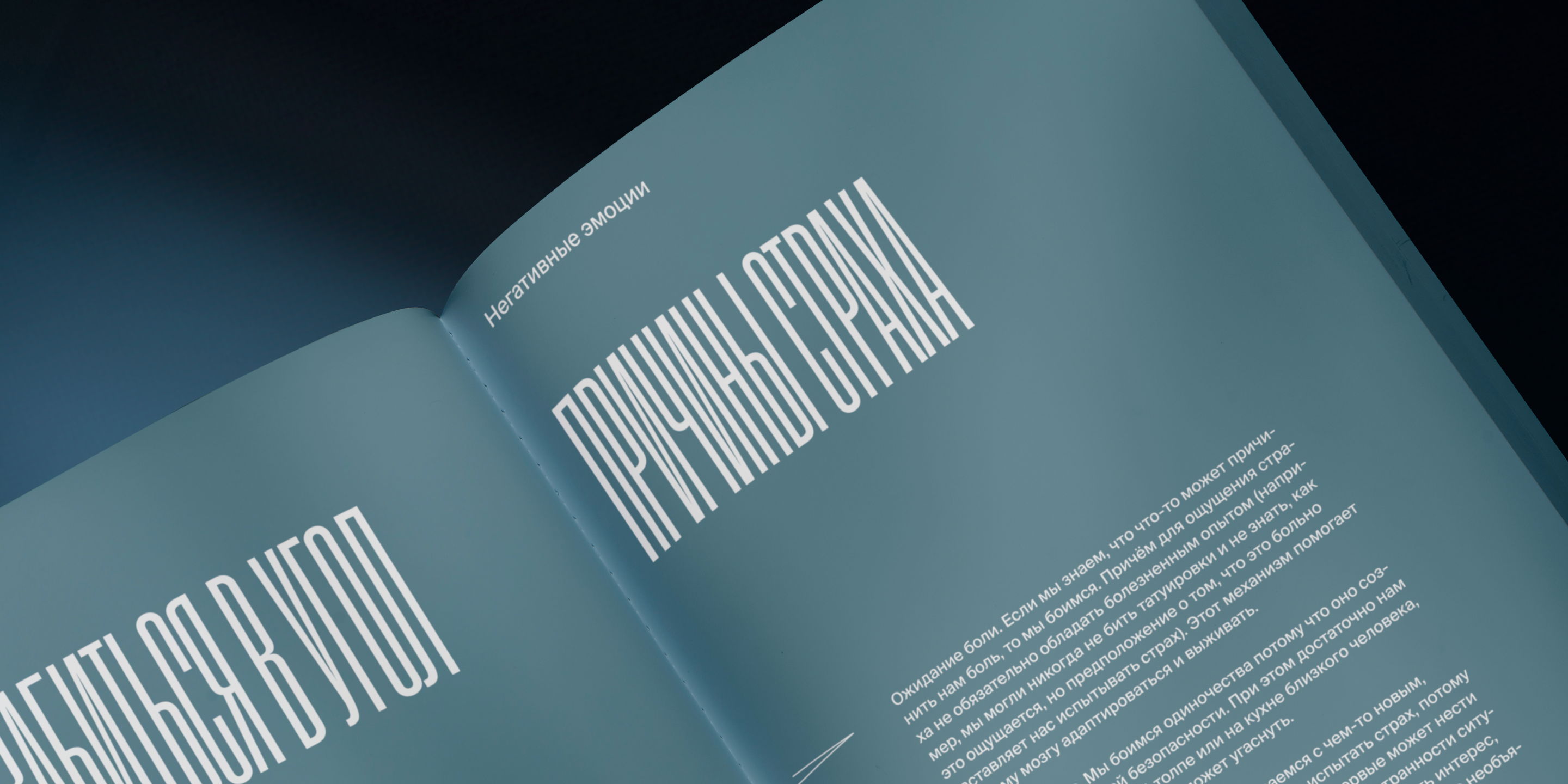 Negative emotions | Book — Изображение №8 — Графика на Dprofile