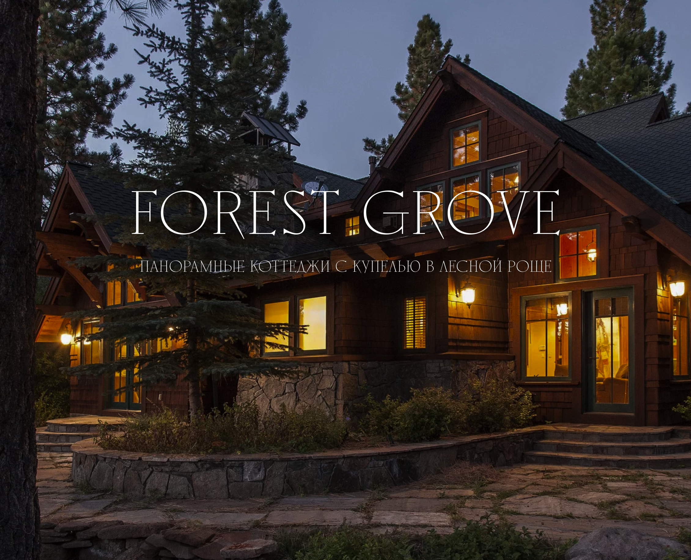 Панорамные коттеджи с купелью FOREST GROVE — Интерфейсы, Графика на Dprofile