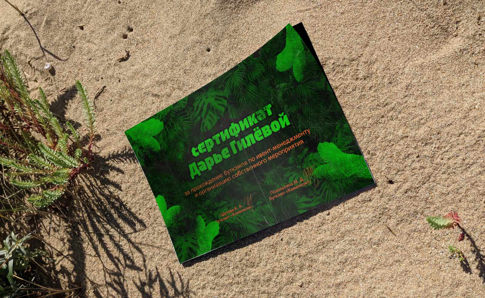 Bootcamp Chameleon Brand Identity — Изображение №6 — Брендинг на Dprofile