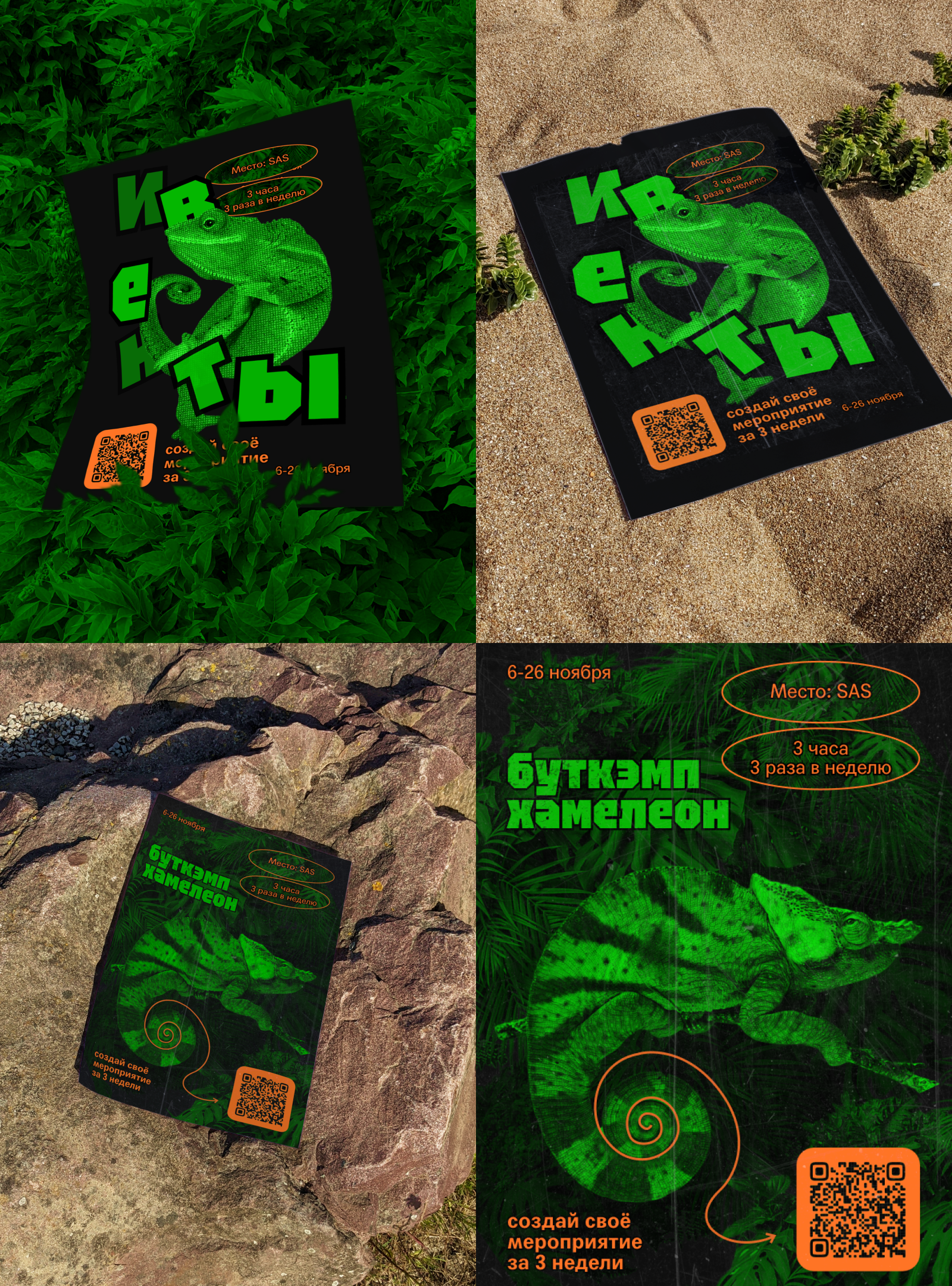 Bootcamp Chameleon Brand Identity — Изображение №4 — Брендинг на Dprofile