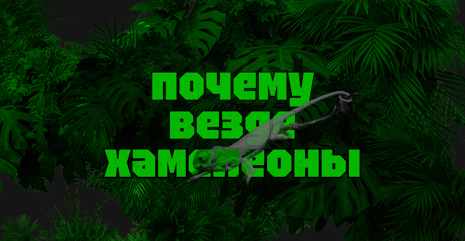 Bootcamp Chameleon Brand Identity — Изображение №1 — Брендинг на Dprofile