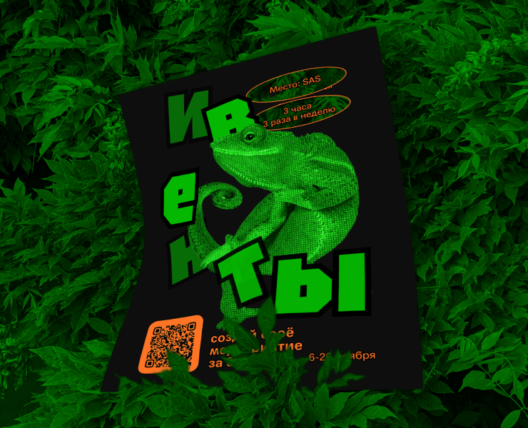 Bootcamp Chameleon Brand Identity — Брендинг на Dprofile