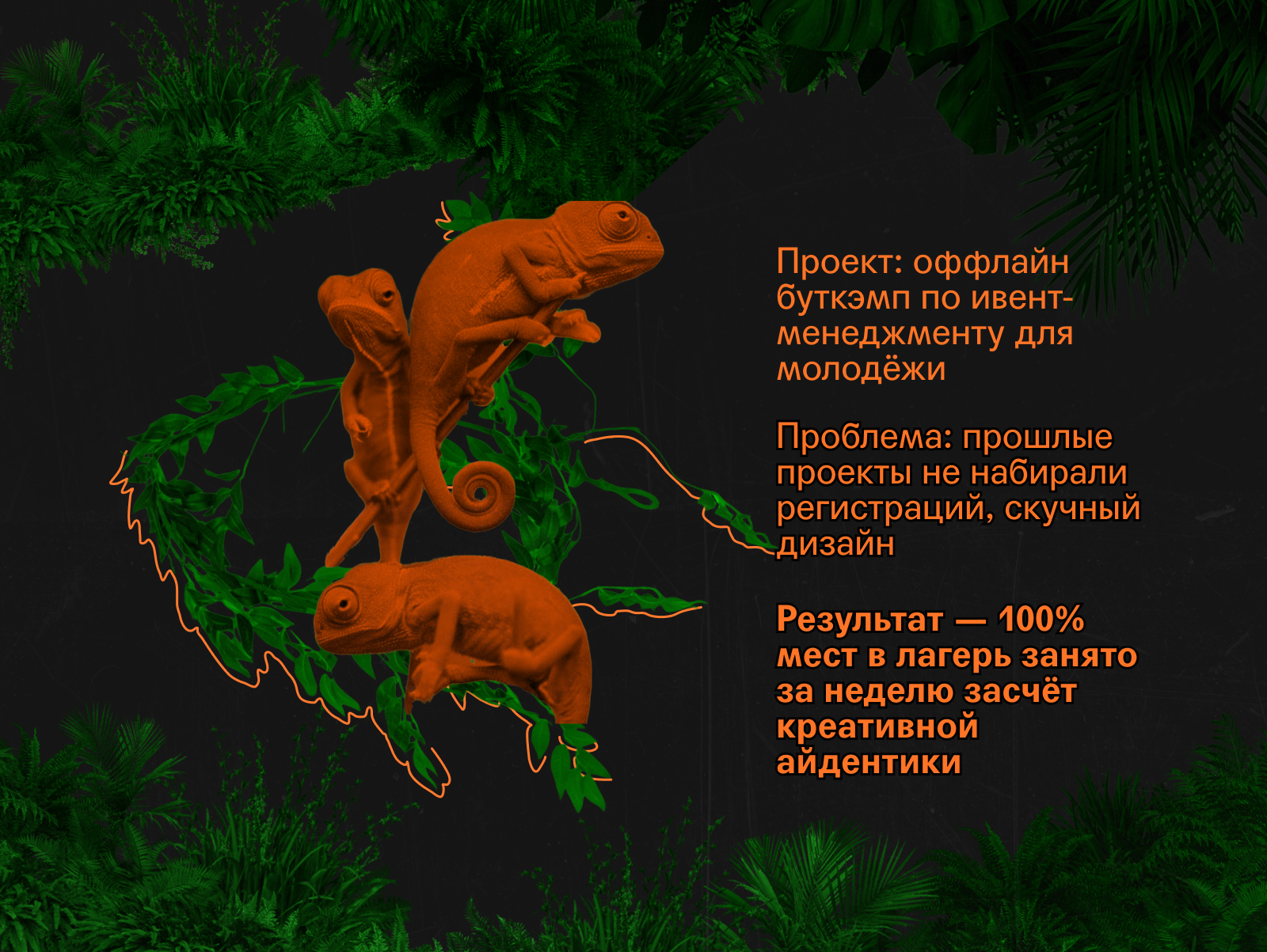 Bootcamp Chameleon Brand Identity — Изображение №3 — Брендинг на Dprofile