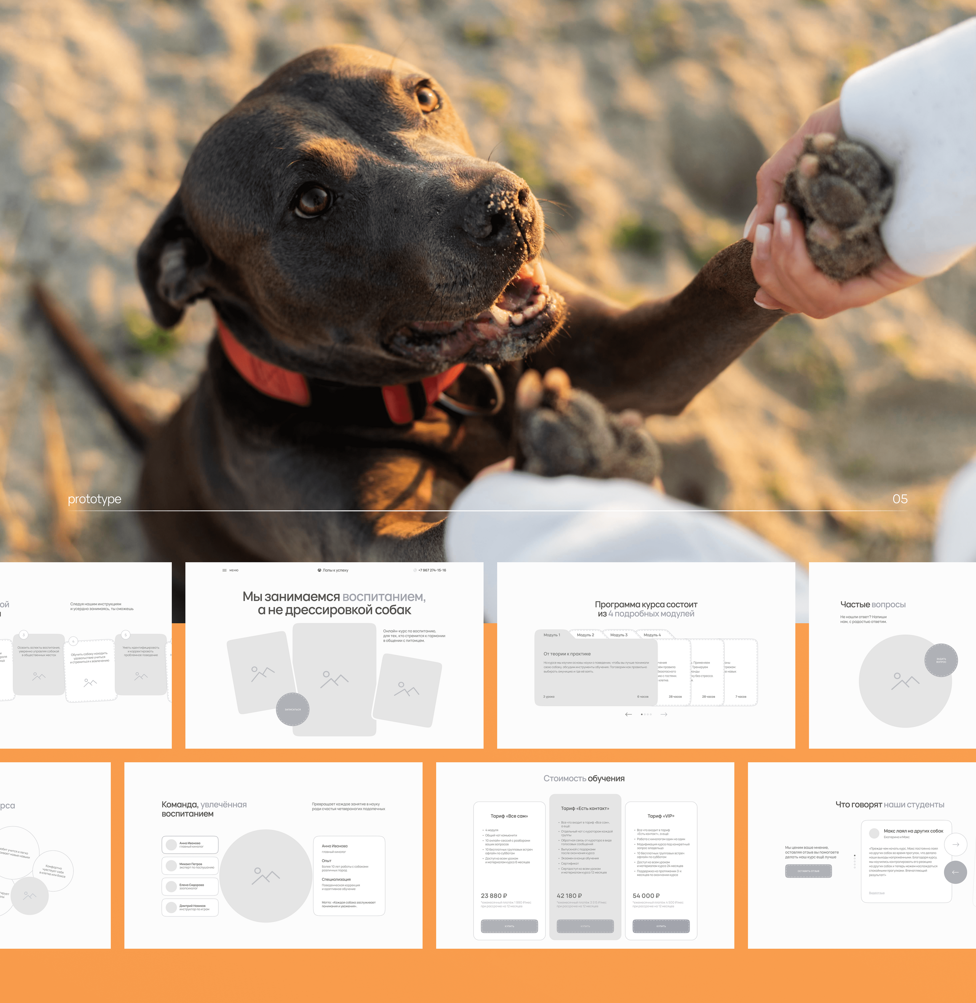 Онлайн-курс по воспитанию собак | landing page — Изображение №6 — Интерфейсы на Dprofile