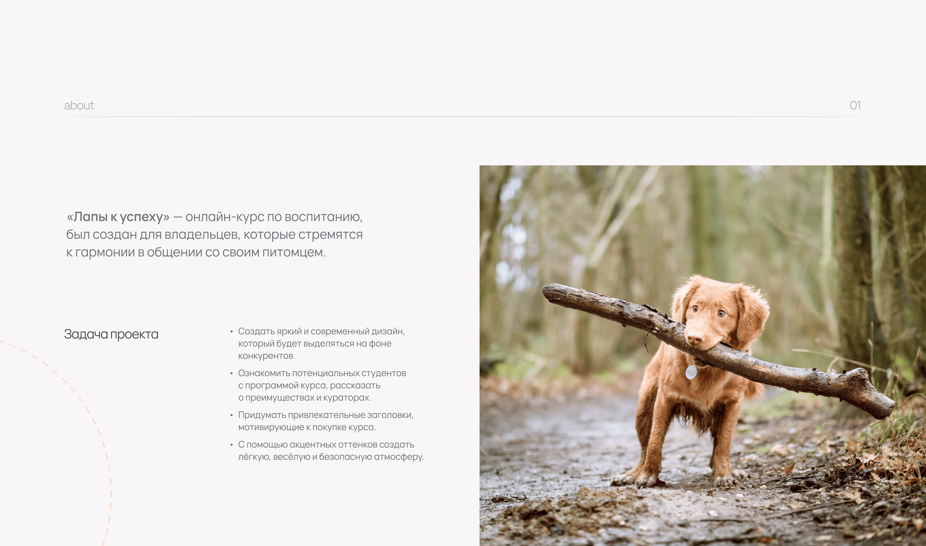 Онлайн-курс по воспитанию собак | landing page — Изображение №2 — Интерфейсы на Dprofile