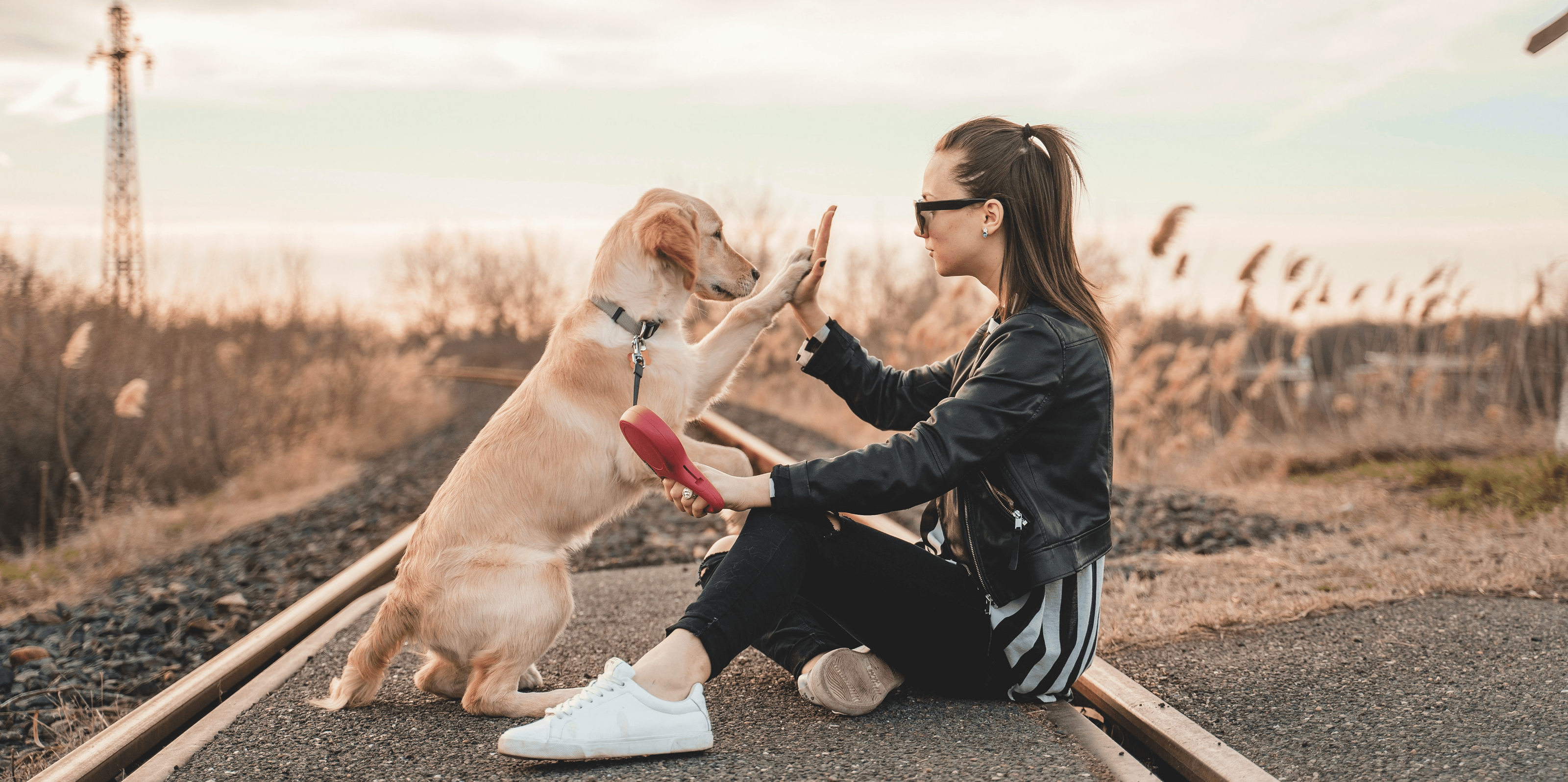 Онлайн-курс по воспитанию собак | landing page — Изображение №4 — Интерфейсы на Dprofile