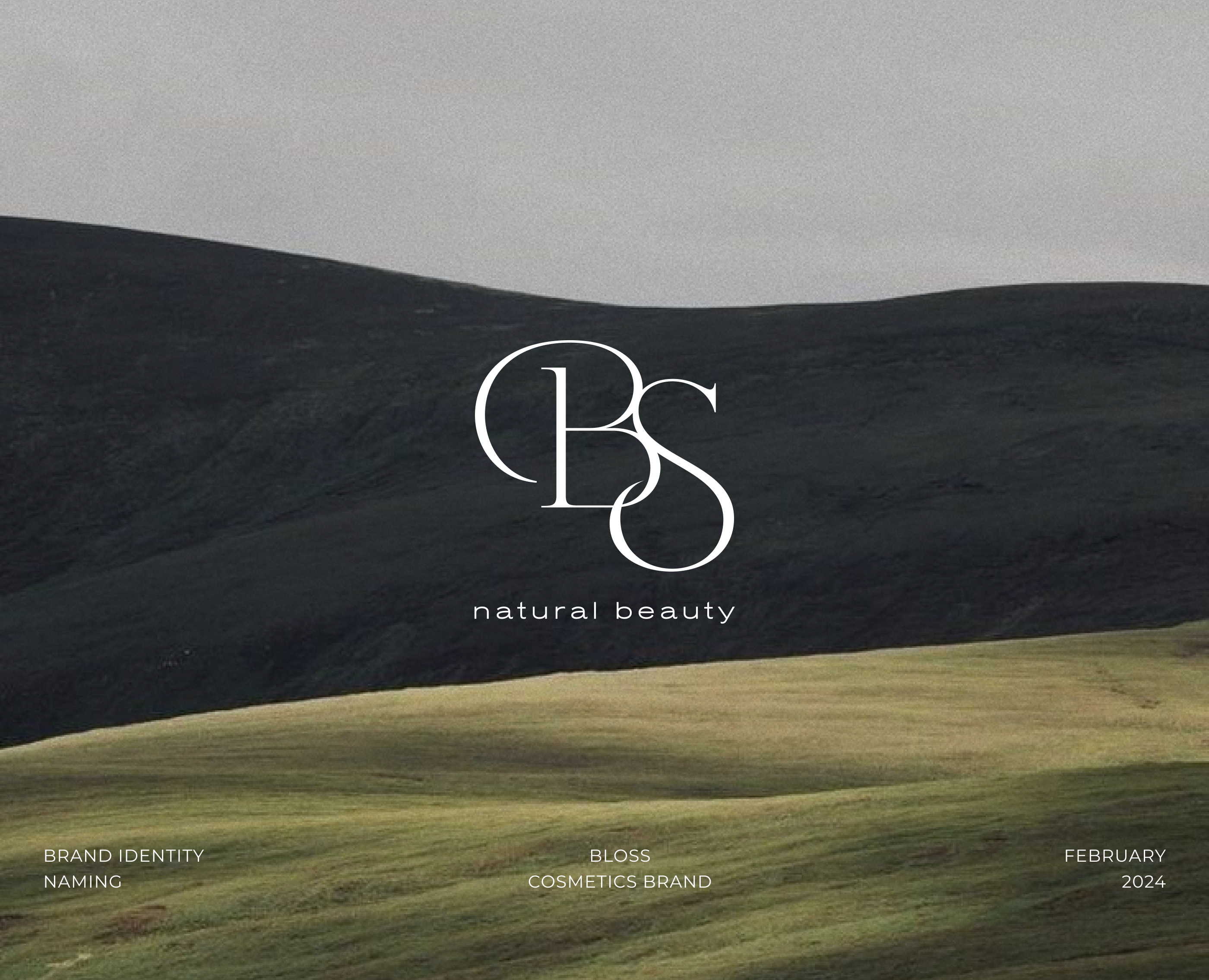 BLOSS|COSMETICS BRANDING — Брендинг на Dprofile
