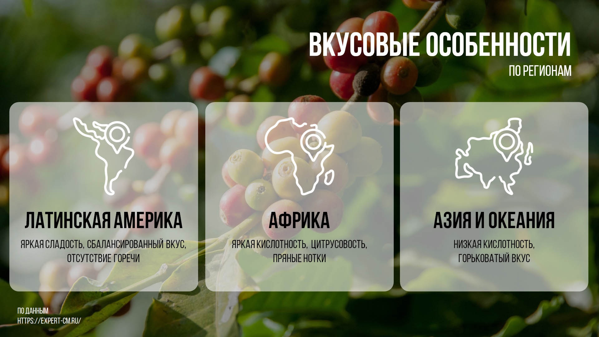 Презентация "Кофе" — Изображение №2 — Графика, Маркетинг на Dprofile