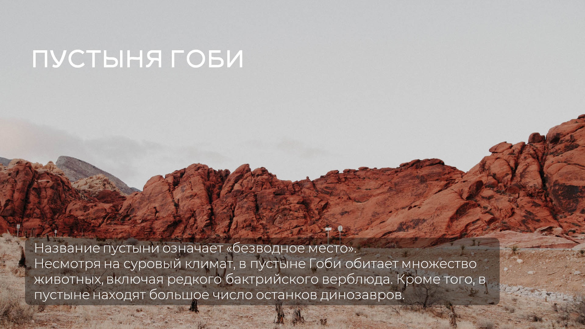 Презентация для турагентства — Изображение №4 — Графика, Маркетинг на Dprofile